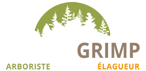 FOREST GRIMP • Arboriste Grimpeur Elagueur